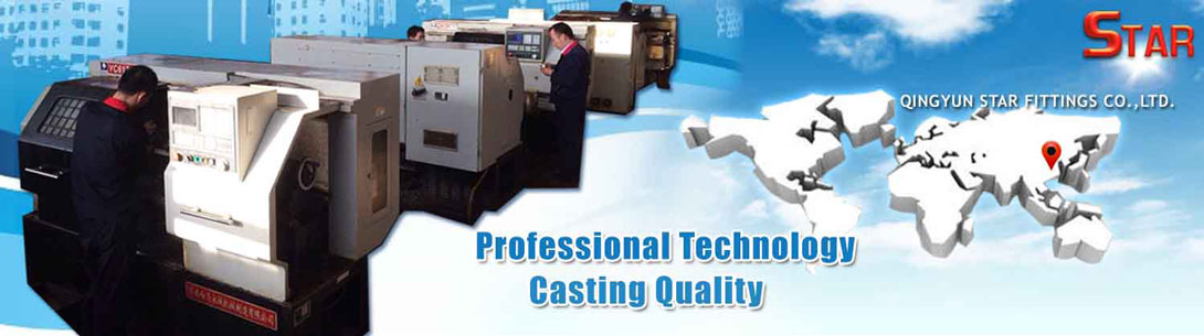 Professional Technology Casting Quality